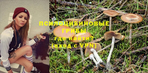 герыч Медногорск